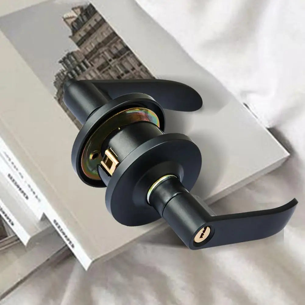 Türklinke Mit Schloss Und Schlüssel