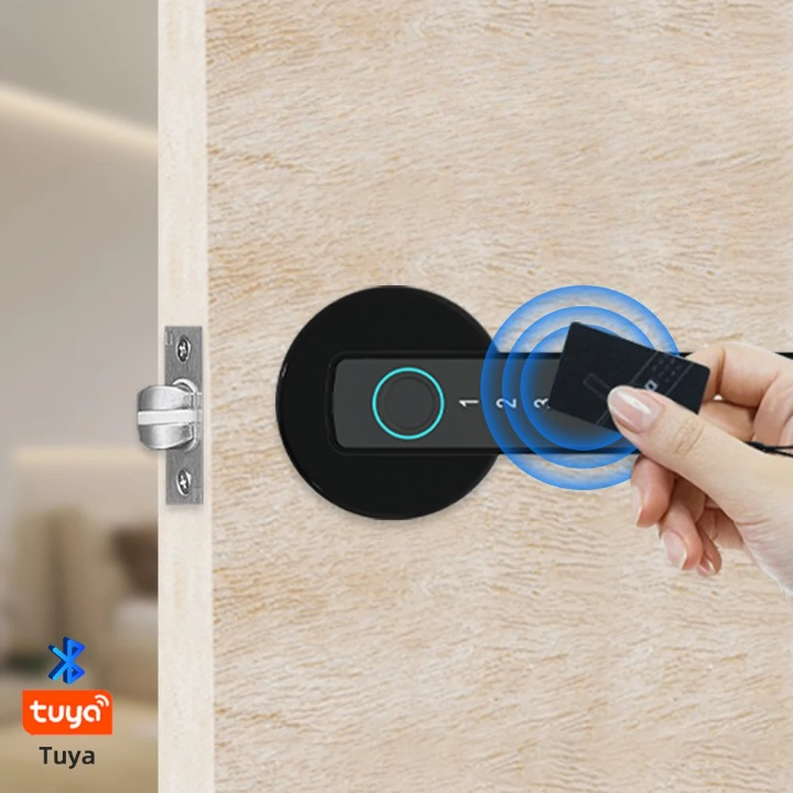 Biometrisches Türschloss Haustür