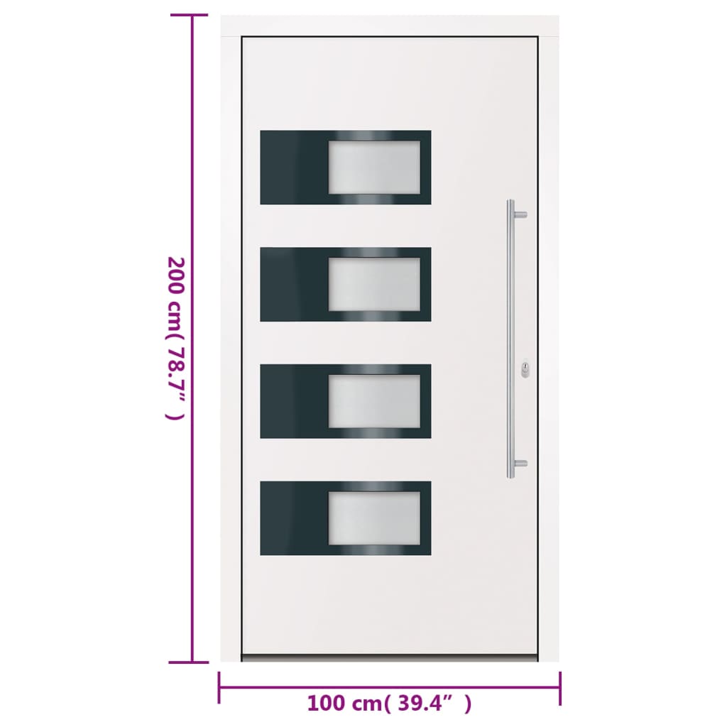 Haustür 100x200