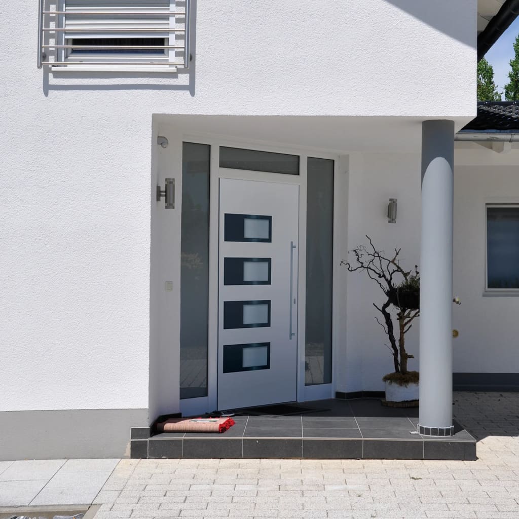 Haustür 100x200