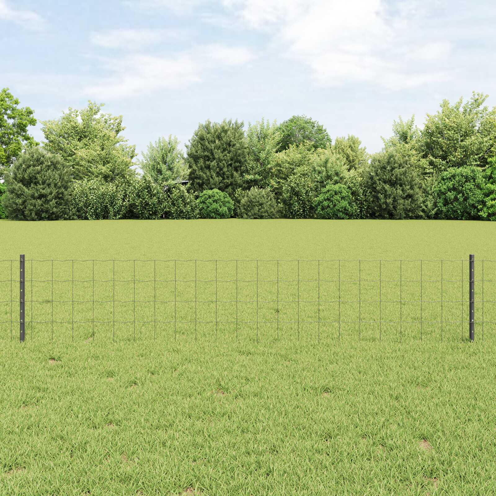 Gartenzaun 40 cm Hoch