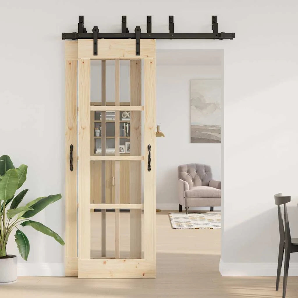 Schiebetür schiene 2 läufig