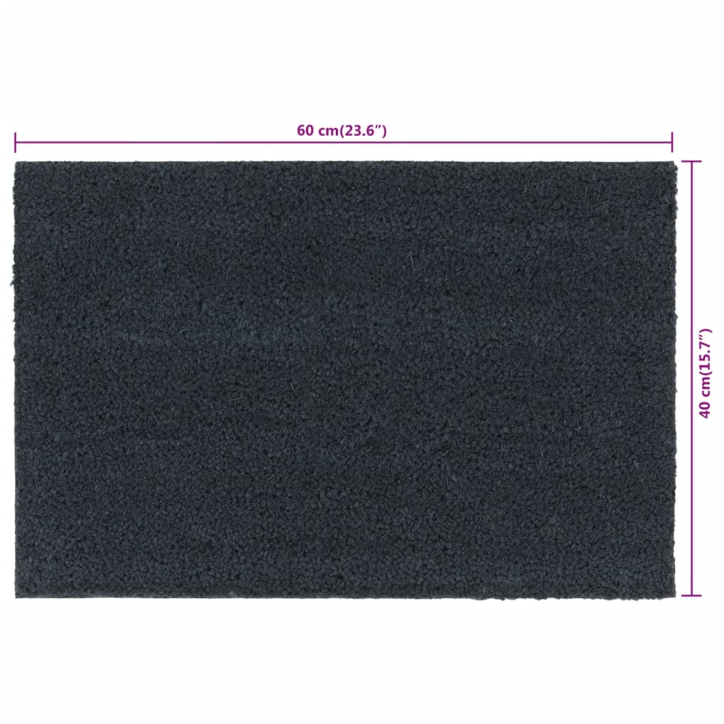 Fußmatte 40x60 Kokos