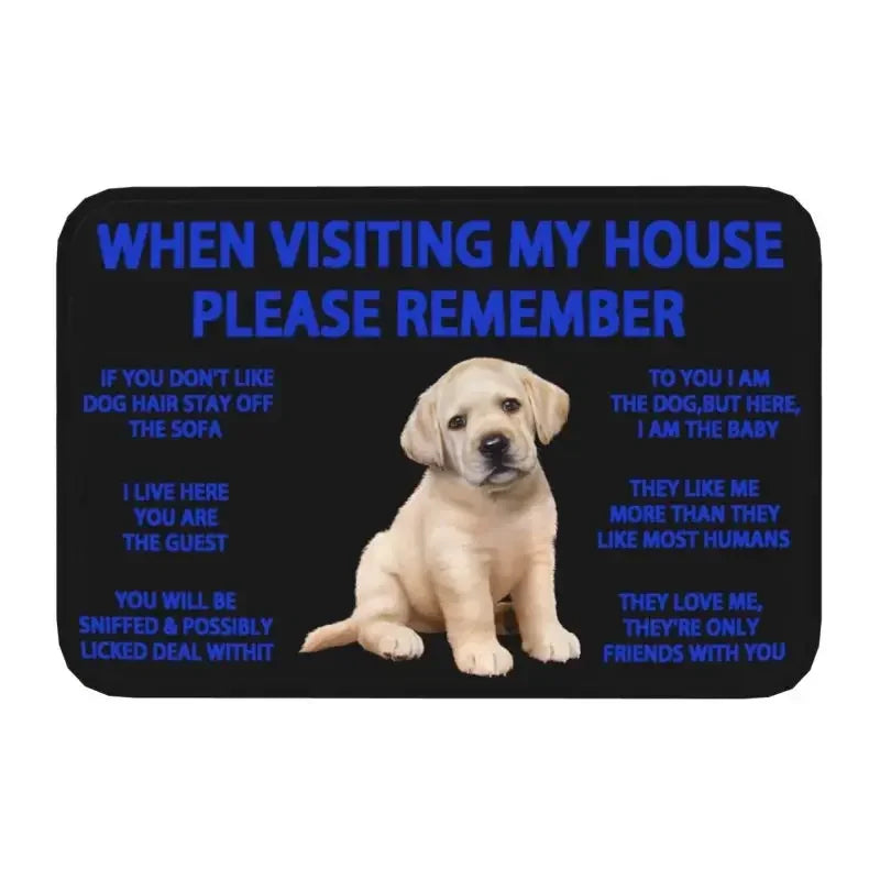 Labrador
