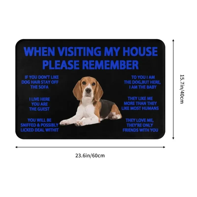 Beagle