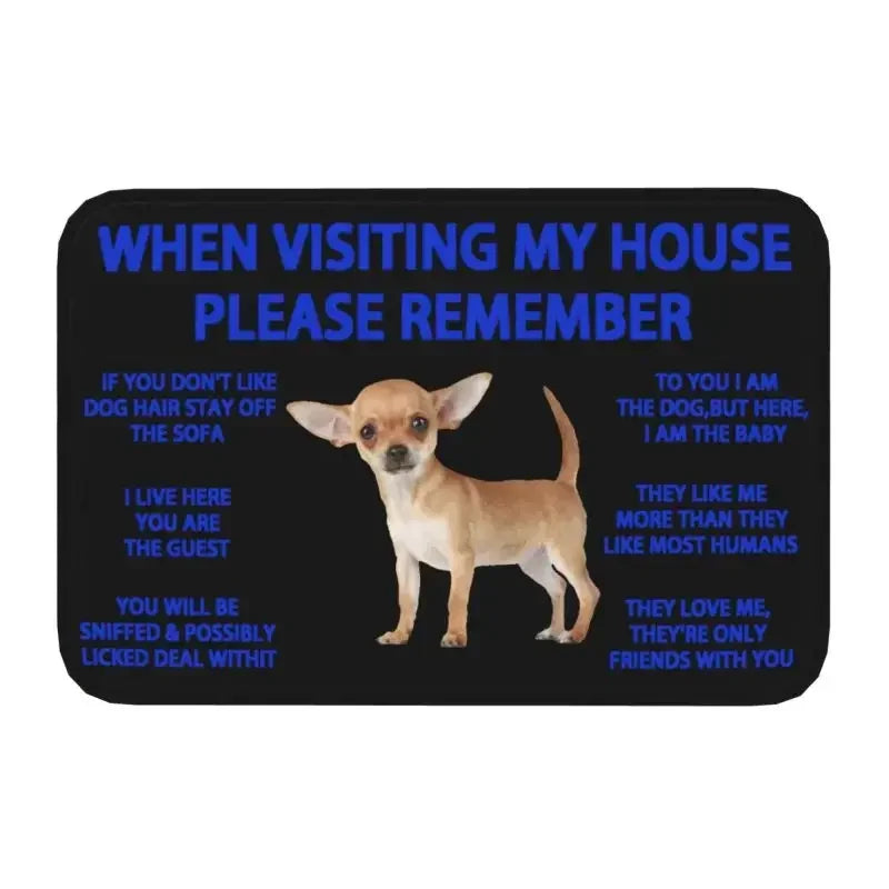 chihuahua